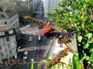 content_foto_6407_l