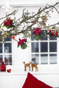 2016_poinsettia_christmas_tree_ball_03