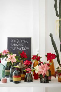 2016_poinsettia_mexican_heritage_06
