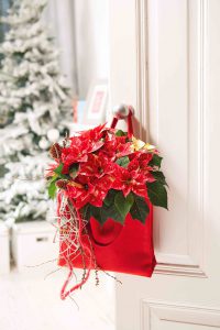 2016_poinsettia_welcome