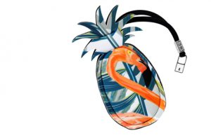 Ananas_Fronte