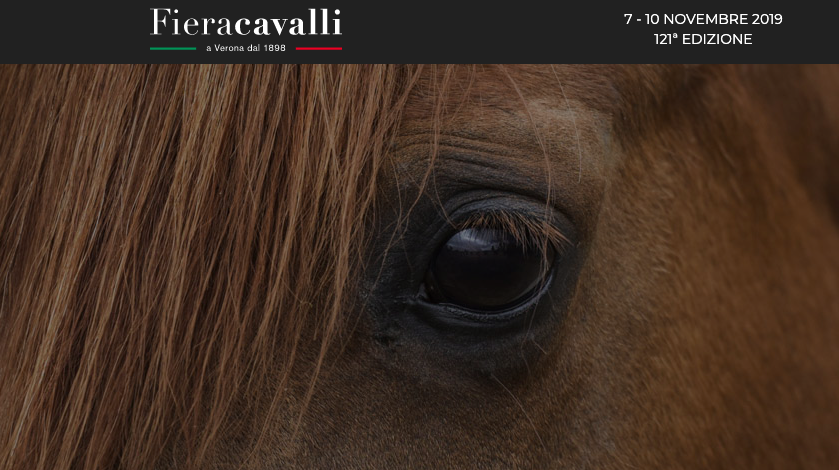 Con Riding the Blue “Il cavallo giova all’autismo” Share Presentato all’Ospedale di Borgo Trento-Verona il progetto etico-sociale di Fieracavalli per i bambini affetti da ASD
