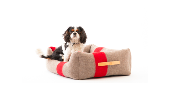 2.8 design for dogs | Natale per dog lovers: come proteggere i cani dal freddo (con stile) e fare loro dei bellissimi regali.